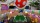  Mario Kart Live  Home Circuit.  Luigi (Nintendo Switch) -    , , .   GameStore.ru  |  | 